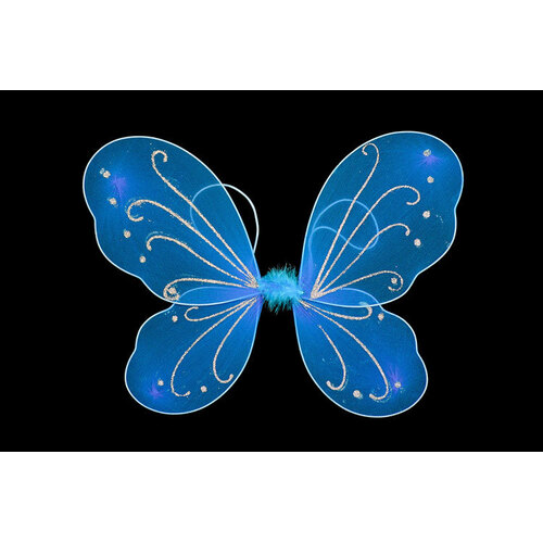 Butterfly Wings